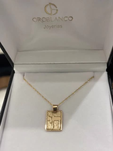 Dije en oro en su estuche de Oro Blanco Joyerías